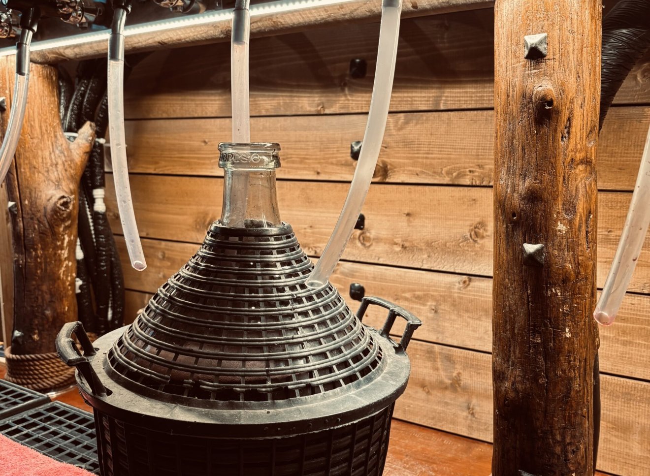 Fiascia 10 litri per vino sfuso, vino di qualità per tutti i giorni, pronto per essere degustato a creazzo