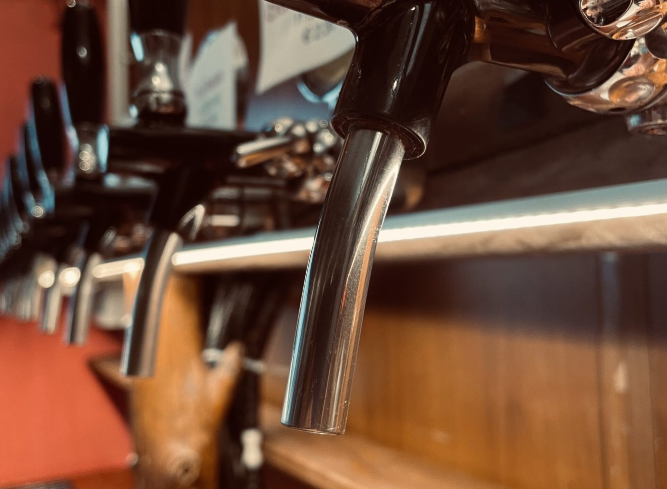 Scatto Ravvicinato delle spine della Cantina di ugo, l'enoteca di Creazzo